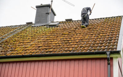Comment éliminer les taches de moisissure sur les façades ?