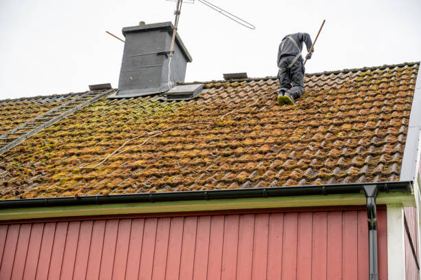 Un nettoyage, démoussage et traitements des terrasses bien exécutés non seulement améliorent l'apparence de votre maison