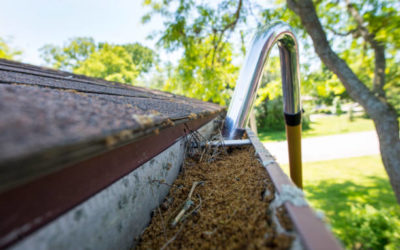 Quels sont les signes indiquant qu’une toiture nécessite un traitement hydrofuge ?
