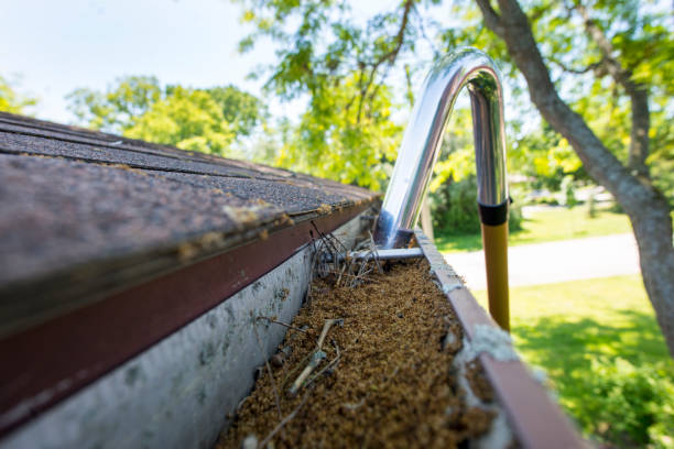 Un traitement hydrofuge prévient efficacement les infiltrations en renforçant l'étanchéité de la toiture. Les fissures permettent à l'eau