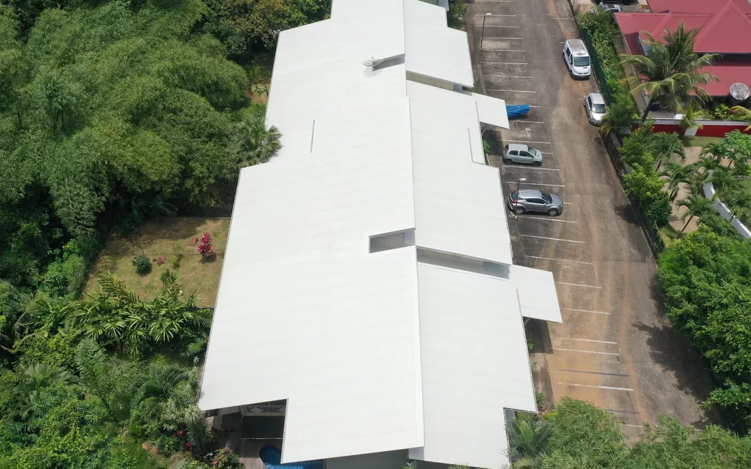 Intégration de la Zinguerie par Guyane Rénovation : Esthétique et Fonctionnalité Améliorées