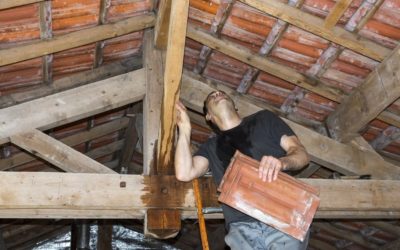 L’importance de l’inspection régulière pour prévenir les fuites de toiture à Guyane