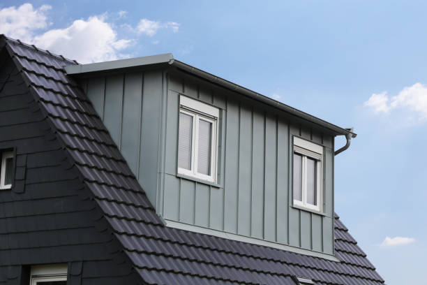 Les Meilleures Pratiques pour Installer une Toiture en Zinc à Guyane
