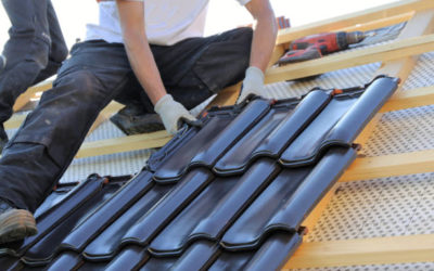 Quels sont les types de toitures les plus courants à Montjoly ?